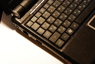Illustration for article titled Cow Dies Needlessly to Coat Eee PC in Horrid Leather Modding